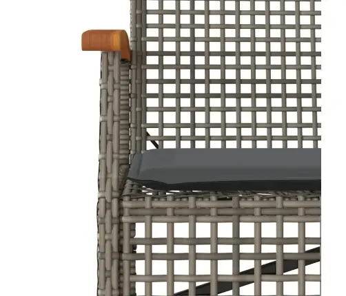 Dārza Sols Ar Matraci, Pelēka Pe Rotangpalma, Akācijas Koks Vidaxl