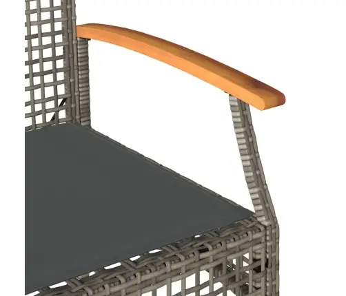 4-Daļīgs Dārza Atpūtas Mēbeļu Komplekts, Pelēka Pe Rotangpalma Vidaxl