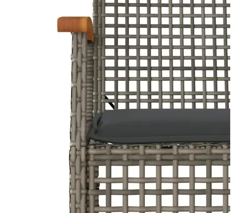 4-Daļīgs Dārza Atpūtas Mēbeļu Komplekts, Pelēka Pe Rotangpalma Vidaxl