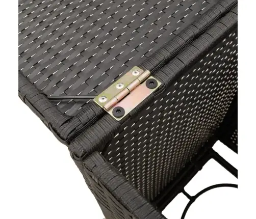 Gāzes Balona Pārsegs, Melns, 40X40X60 Cm, Pe Rotangpalma Vidaxl