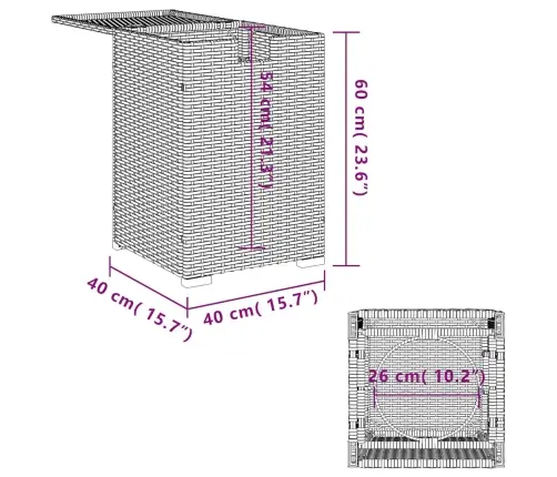 Gāzes Balona Pārsegs, Brūns, 40X40X60 Cm, Pe Rotangpalma Vidaxl