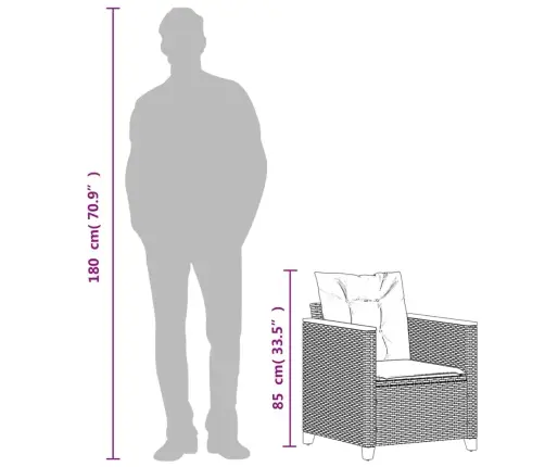 Sodo Kėdė Su Pagalvėlėmis, Juodos Spalvos, Poliratanas