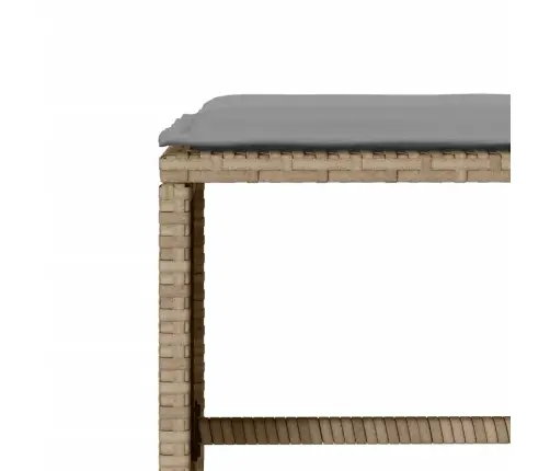 4-Osaline Aiadiivani Komplekt Patjadega, Beež, Polürotang