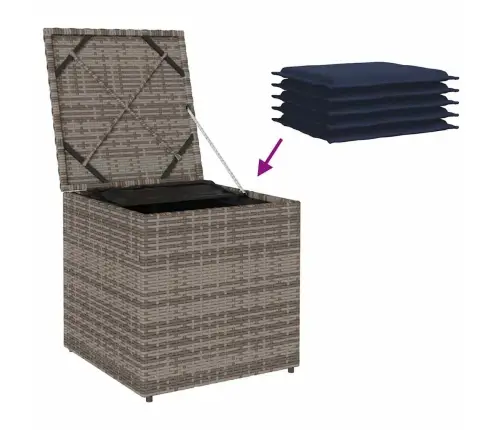 Pagalvėlės Dėžutė Su Saugykla Pilka 50 X 50 X 50 Cm Poliratanas