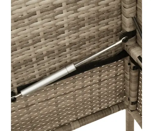 Dārza Sols Ar Matračiem, Bēša Pe Rotangpalma Vidaxl