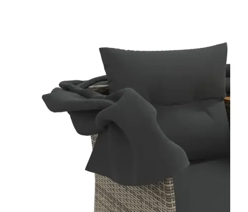 Divvietīgs Dārza Dīvāns Ar Jumtiņu Un Krēsliem, Pelēks, Pe Vidaxl