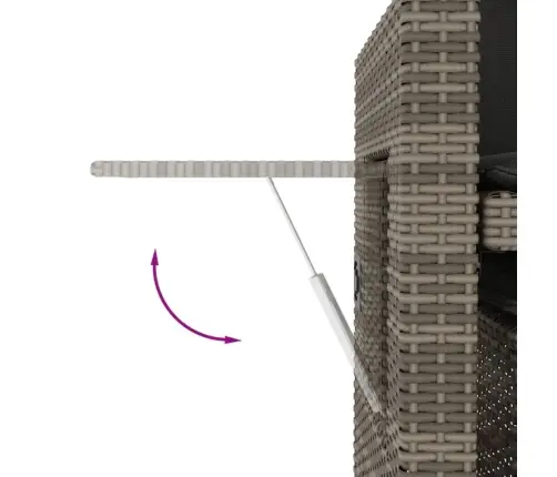 Atgāžams Dārza Krēsls Ar Matračiem, Pelēka Pe Rotangpalma Vidaxl