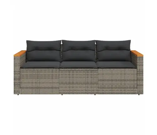 Trīsvietīgs Dārza Dīvāns Ar Matračiem, Pelēka Pe Rotangpalma Vidaxl