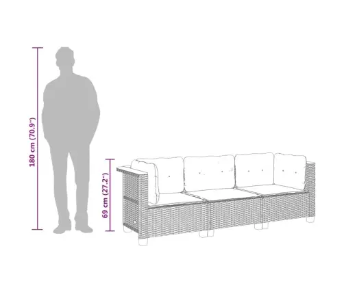 Trīsvietīgs Dārza Dīvāns Ar Matračiem, Bēša Pe Rotangpalma Vidaxl