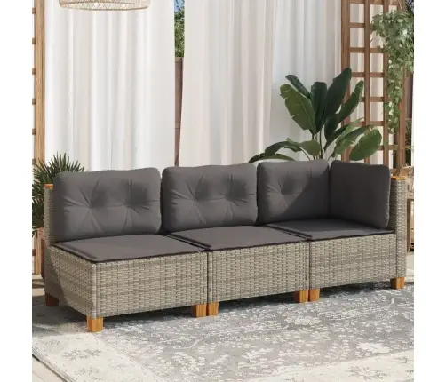 3-Kohaline Aiadiivan Koos Patjadega, Hall, Polürotang