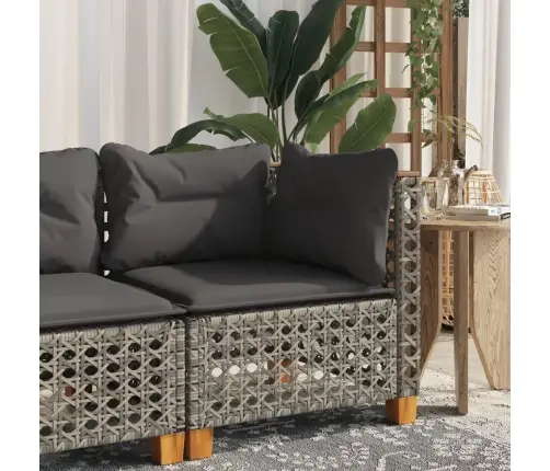 Dārza Stūra Dīvāns Ar Matračiem, Pelēka Pe Rotangpalma Vidaxl