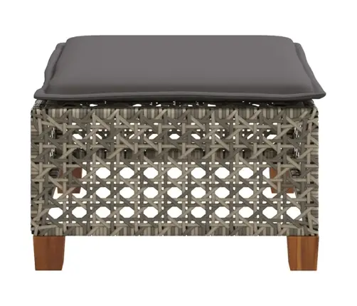 Dārza Soliņš Ar Matraci, Pelēka Pe Rotangpalma, 63,5X56X32 Cm Vidaxl