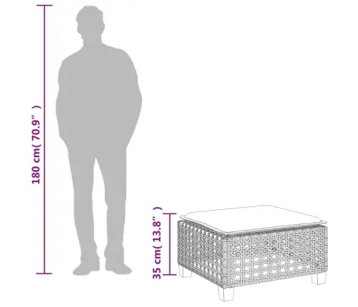 Dārza Soliņš Ar Matraci, Pelēka Pe Rotangpalma, 63,5X56X32 Cm Vidaxl