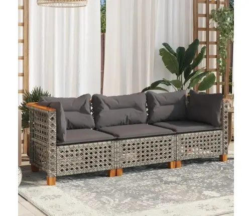 Trīsvietīgs Dārza Dīvāns Ar Matračiem, Pelēka Pe Rotangpalma Vidaxl