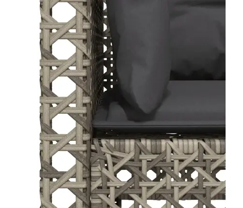 Trīsvietīgs Dārza Dīvāns Ar Matračiem, Pelēka Pe Rotangpalma Vidaxl