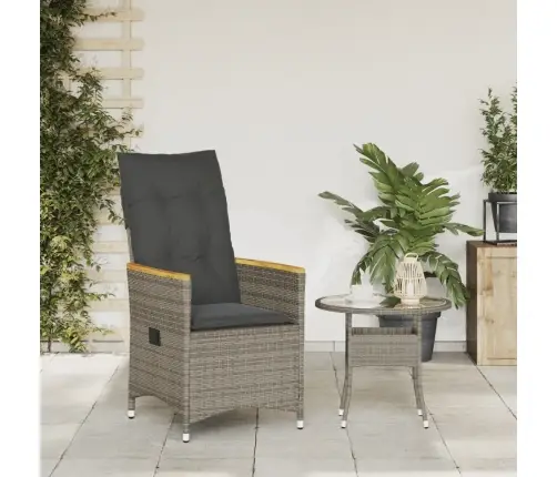 Atgāžams Dārza Krēsls Ar Matračiem, Pelēka Pe Rotangpalma Vidaxl