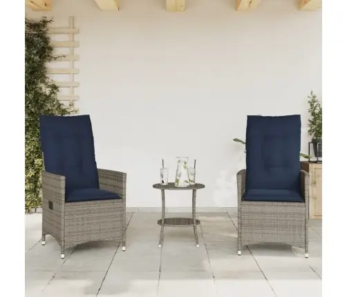 Bistro Baldų Komplektas Su Pagalvėlėmis, 3 Dalių, Pilkas, Polirotangas