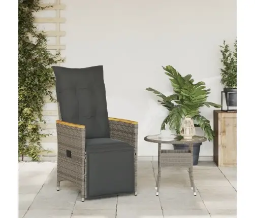 Atgāžams Dārza Krēsls Ar Matračiem, Pelēka Pe Rotangpalma Vidaxl