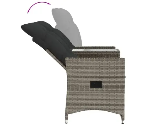 Divvietīgs Dārza Dīvāns Ar Galdu, Pelēka Pe Rotangpalma Vidaxl