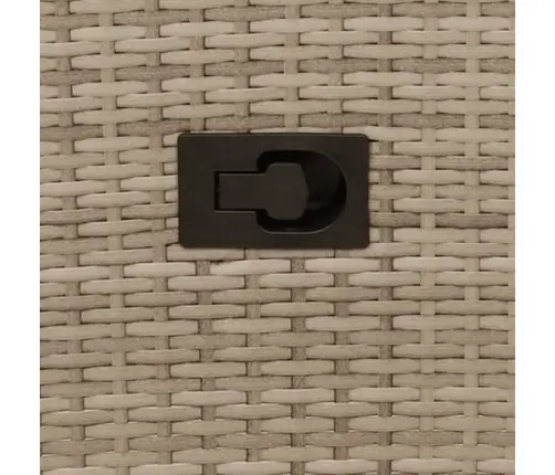 Divvietīgs Dārza Dīvāns Ar Galdu, Bēšs Polirotangpalma Vidaxl