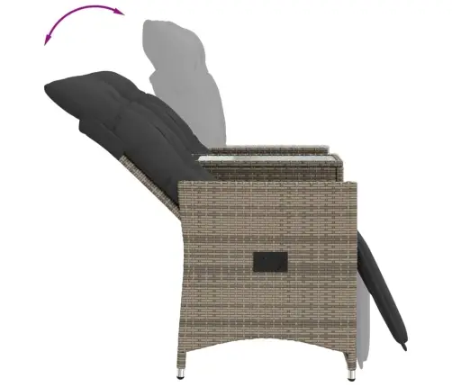 Divvietīgs Dārza Dīvāns Ar Galdu, Pelēka Pe Rotangpalma Vidaxl