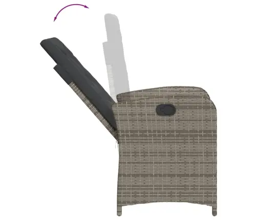 9-Daļīgs Dārza Mēbeļu Komplekts Ar Matračiem, Pe Rotangpalma Vidaxl