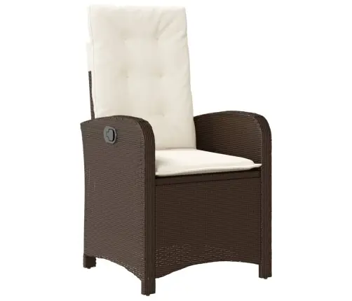 Sodo Komplektas Su Pagalvėlėmis, 9 Dalių, Rudas, Poliratanas