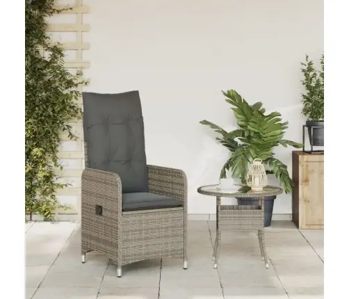 Allalastava Seljatoega Aiatool Koos Patjadega, Hall, Polürotang Allalastava Seljatoega Aiatool Koos Patjadega, Hall, Polürotang