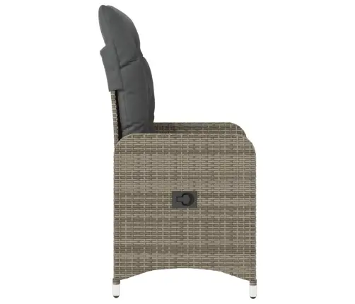 Allalastava Seljatoega Aiatool Koos Patjadega, Hall, Polürotang Allalastava Seljatoega Aiatool Koos Patjadega, Hall, Polürotang