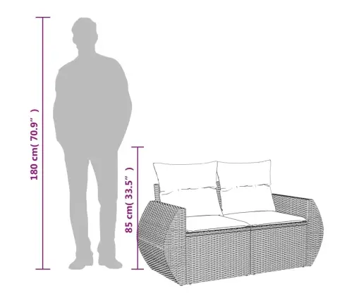 Dvivietė Sodo Sofa Su Pagalvėlėmis, Juodos Spalvos, Poliratanas Dvivietė Sodo Sofa Su Pagalvėlėmis, Juodos Spalvos, Poliratanas