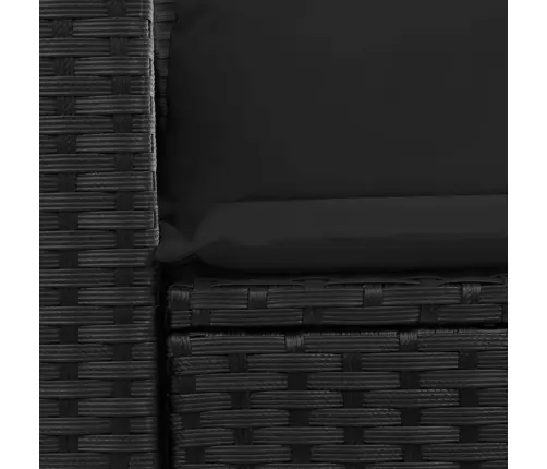 Aiadiivan Patjadega, Kahekohaline, Must, Polürotang