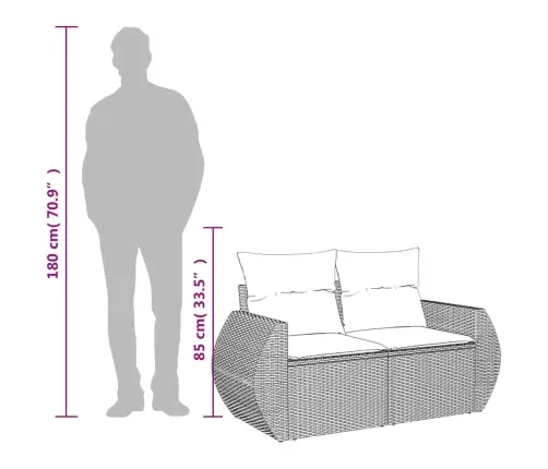 Dvivietė Sodo Sofa Su Pagalvėlėmis, Juodos Spalvos, Poliratanas