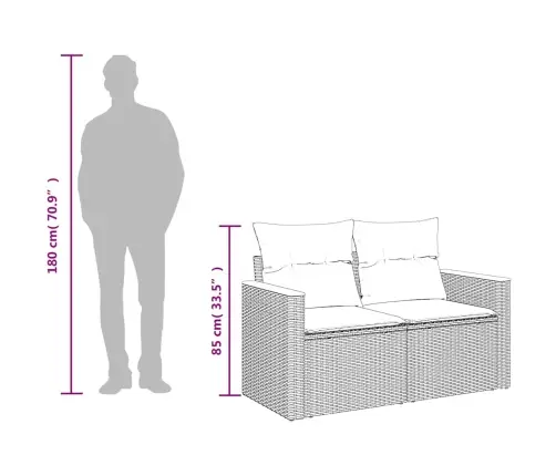 Dvivietė Sodo Sofa Su Pagalvėlėmis, Juodos Spalvos, Poliratanas