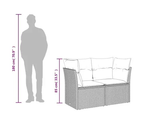 Dvivietė Sodo Sofa Su Pagalvėlėmis, Smėlio Spalvos, Poliratanas