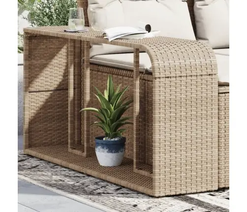 Plaukti, 2 Gab., Bēša Pe Rotangpalma Vidaxl