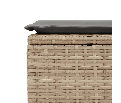 Dārza Soliņš Ar Matraci, Bēša Pe Rotangpalma, 55X55X37 Cm Vidaxl