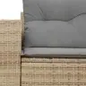 Dvivietė Sodo Sofa Su Pagalvėlėmis, Smėlio Spalvos, Poliratanas Dvivietė Sodo Sofa Su Pagalvėlėmis, Smėlio Spalvos, Poliratanas