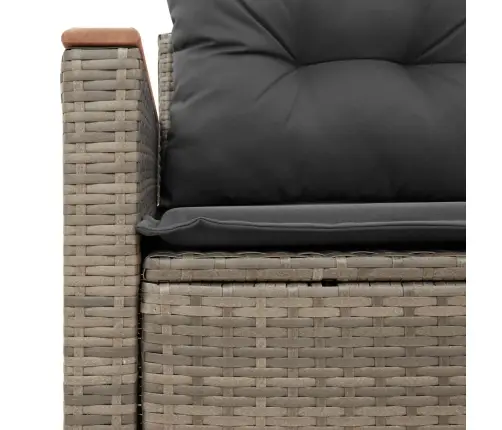 Divvietīgs Dārza Dīvāns Ar Matračiem, Pelēka Pe Rotangpalma Vidaxl
