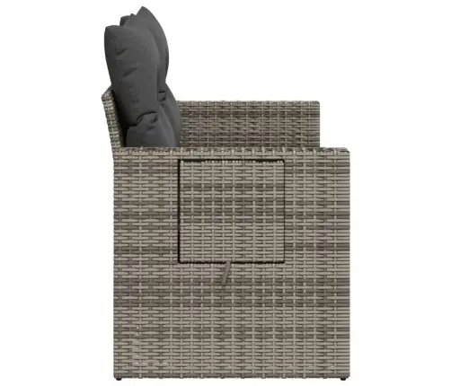 Divvietīgs Dārza Dīvāns Ar Matračiem, Pelēka Pe Rotangpalma Vidaxl