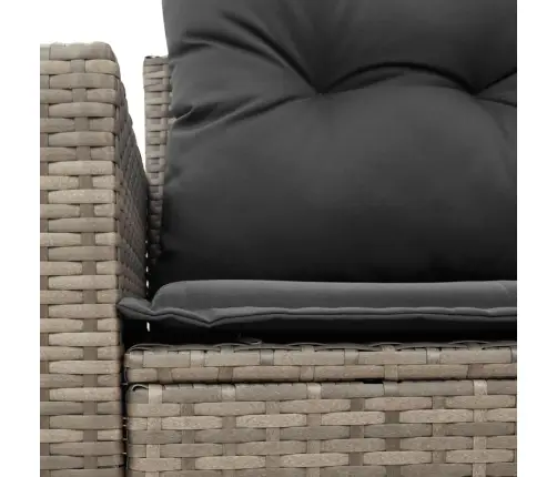 Divvietīgs Dārza Dīvāns Ar Matračiem, Pelēka Pe Rotangpalma Vidaxl