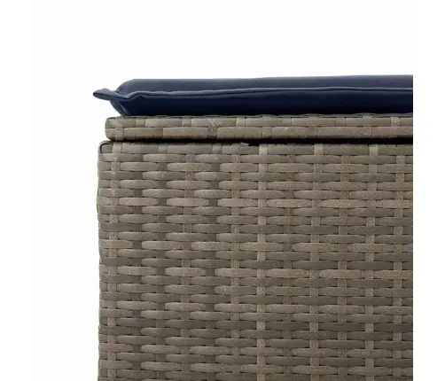 Dārza Soliņš Pelēka 55 X 55 X 37Cm Poliratāns Vidaxl