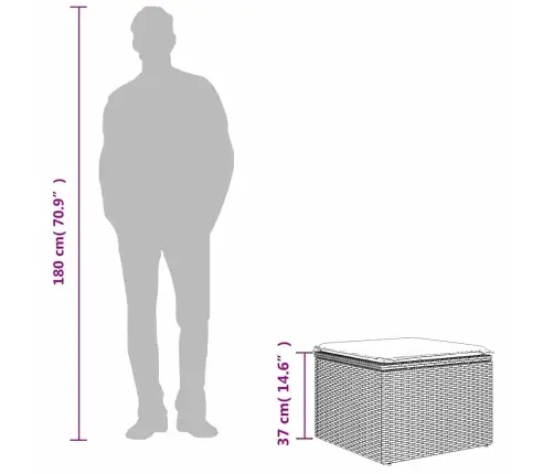 Dārza Soliņš Pelēka 55 X 55 X 37Cm Poliratāns Vidaxl
