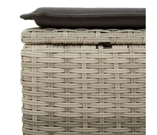 Dārza Soliņš Ar Matraci, Gaiši Pelēka Pe Pinums, 55X55X37 Cm Vidaxl