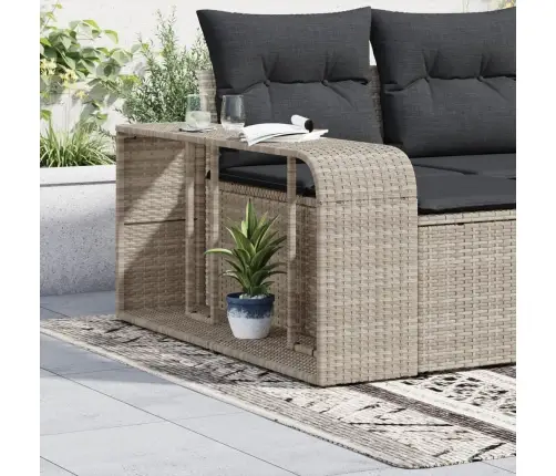 Plaukti, 2 Gab., Gaiši Pelēka Pe Rotangpalma Vidaxl