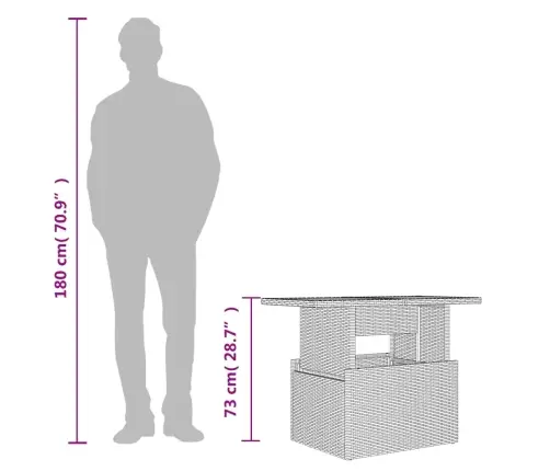 Aialaud Klaasplaadiga, Pruun, 100 X 55 X 73 cm Polürotang