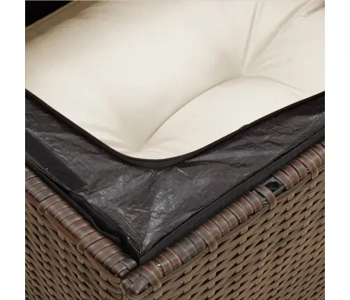 Dvivietė Sodo Sofa Su Pagalvėlėmis, Rudos Spalvos, Poliratanas