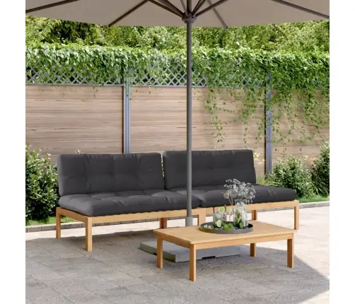 Vidurinės Sofos Dalys Iš Palečių Su Pagalvėmis, 2Vnt., Akacija