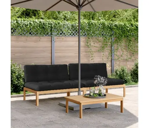 Kaubaalustest Keskmised Diivaniosad Patjadega 2 Tk, Akaatsia