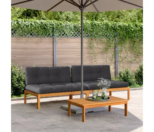 Vidurinės Sofos Dalys Iš Palečių Su Pagalvėmis, 2Vnt., Akacija