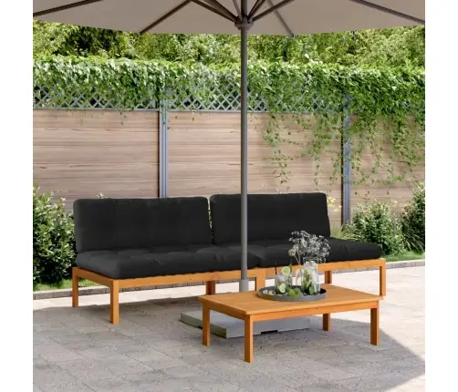 Vidurinės Sofos Dalys Iš Palečių Su Pagalvėmis, 2Vnt., Akacija